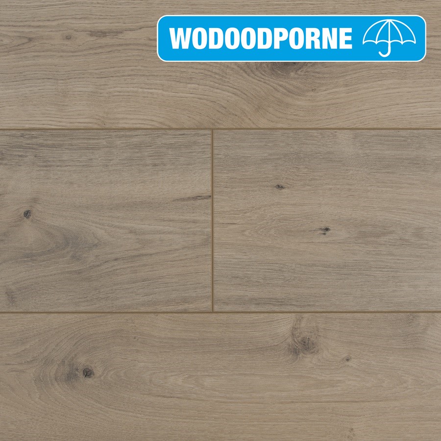 rio%20grande%20by%20belgium%20900593%20