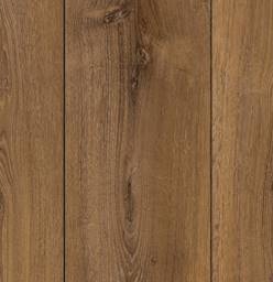 DĄB_VICTORIA_2005_V2